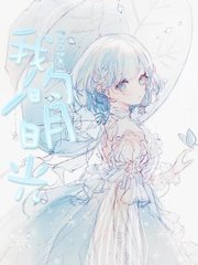正品蓝导航柠檬导航
